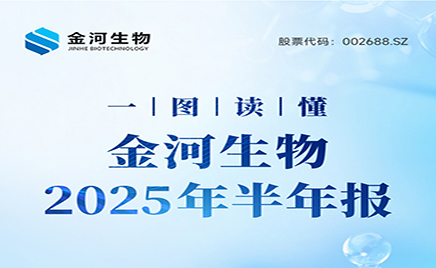 一圖讀懂：金河生物2025年半年度報(bào)告